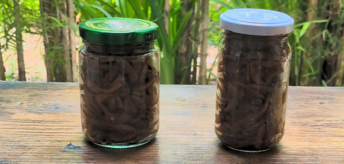 Bottled Isaw Recipe