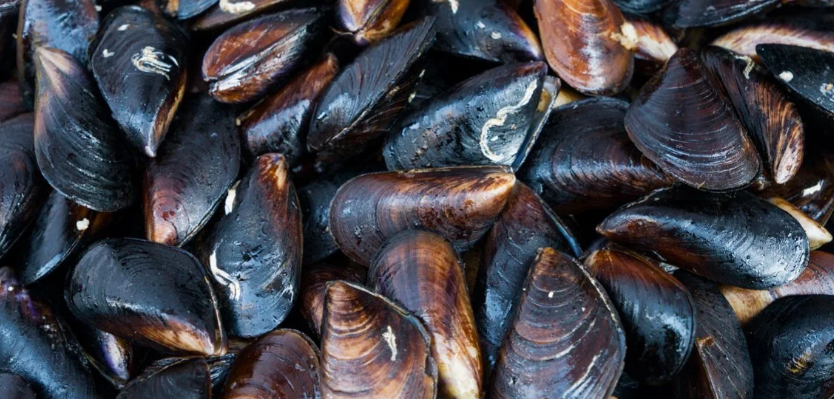 Cheesy Baked Tahong
How to choose the right mussels